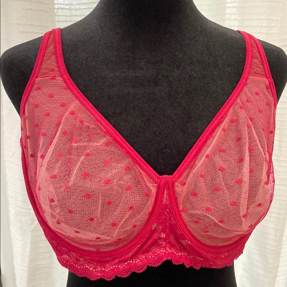Red Lace Polka Dot Bra